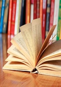 Статистика Дзен В море книг