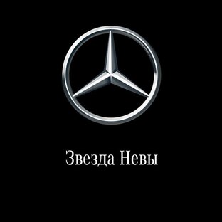 Звезда невы авто