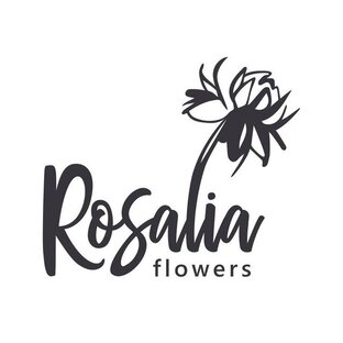Статистика Дзен Rosalia Flowers
