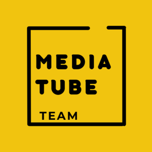 Статистика Дзен MediaTube Team
