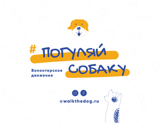 Статистика Дзен Волонтерское движение "Погуляй собаку"