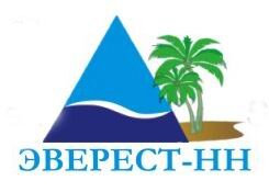 Статистика Дзен Эверест-НН