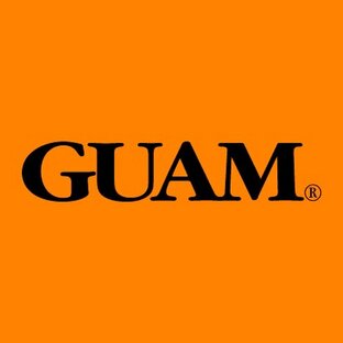 Статистика Дзен Итальянская косметика GUAM