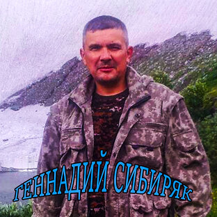 Статистика Дзен Геннадий Сибиряк