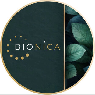 Статистика Дзен Клиника Бионика