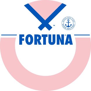 Статистика Дзен FORTUNA