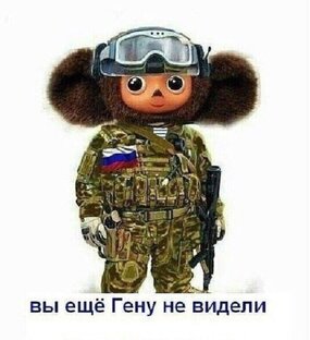 Дзен Русский спортсмен статистика