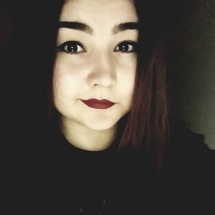 Дзен Рина Я. статистика