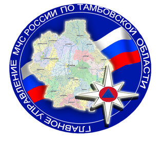 Статистика Дзен МЧС Тамбовской области