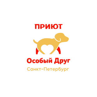 Статистика Дзен Приют "Особый Друг", СПб
