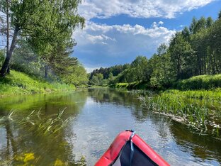 Дзен Активный отдых на природе в любое время года) статистика