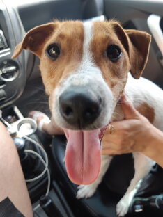 Дзен Парсончик и его Хозяин! статистика