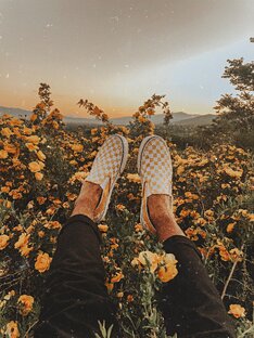 Дзен VikaLity статистика