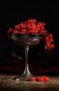 Дзен чё б такого сожрать статистика