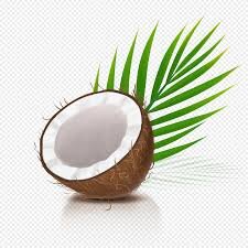 Дзен Кокосик статистика