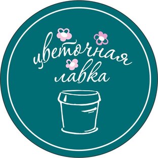 Статистика Дзен Цветочная Лавка