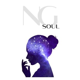 Статистика Дзен NGSoul