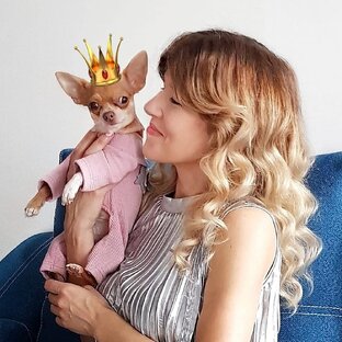 Статистика Дзен Оксана & Чихуахуа Бонита