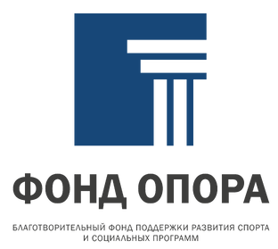 Статистика Дзен Благотворитеный фонд Опора 