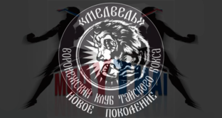 Статистика Дзен "Медведь" Новое Поколение"