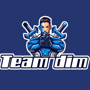 Дзен Team dim статистика