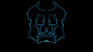 Дзен Zzenein статистика