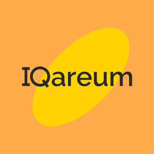 Статистика Дзен IQareum Медиа
