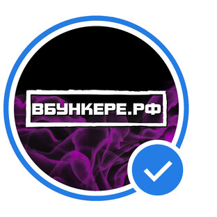 Статистика Дзен Денчик ВБУНКЕРЕ.РФ