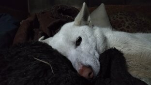 Статистика Дзен Сергей