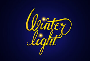 Статистика Дзен Новогодняя иллюминация Winter Light