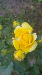 Ликбез от дерматолога