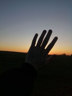 Природа рядом