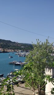 Путешествия и приключения