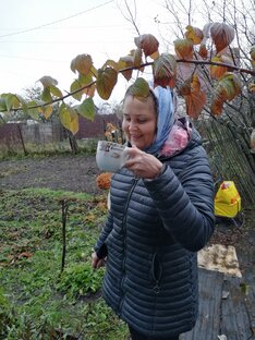 Чай с мятой