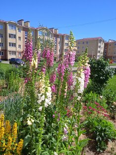 Решай, каким будет твой дом!
