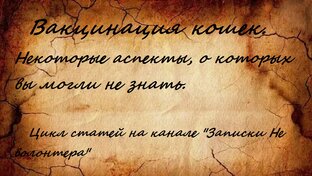 Вакцинация кошек