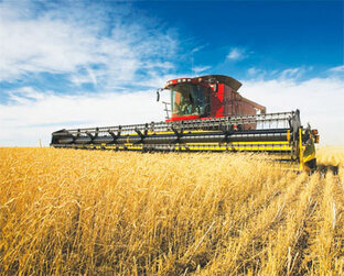 Агропромышленный комплекс 