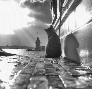 Мои истории о путешествиях по МИРУ