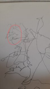 Ролики из жизни