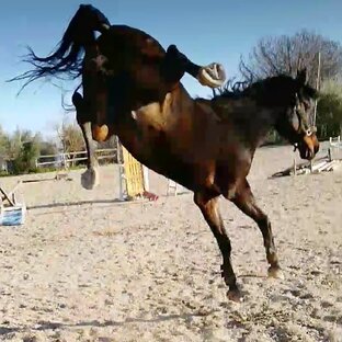 Яркие моменты