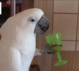 Почти смешно