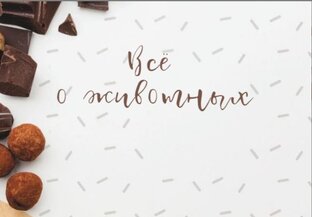 ЖИВОТНЫЕ