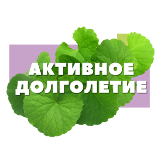 Долголетие