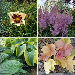 Цикл статей "Все ... моего сада"