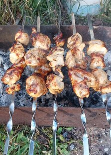 Шашлычки 