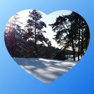 ЗИМА 💙