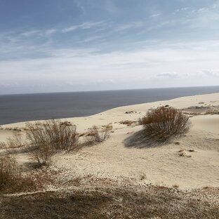 К чему приводят действия с позиции силы ?💪?💪