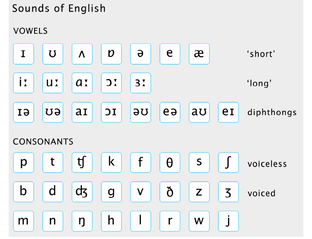 Материалы для занятий