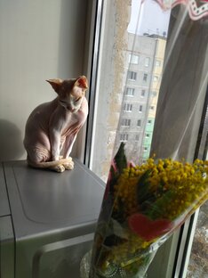 Матильда
