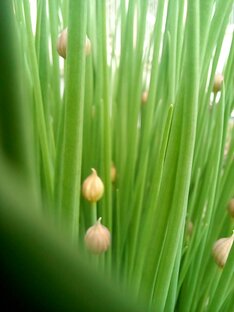 Популярные материалы